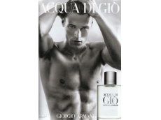 Zoom στο ARMANI ACQUA DI GIO POUR HOMME AFTER SHAVE LOTION 100 ml