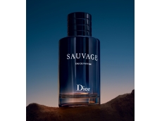 Zoom στο CHRISTIAN DIOR SAUVAGE  EDP 100ml SPR