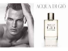 Zoom στο ARMANI ACQUA DI GIO POUR HOMME EDT 200ml SPR
