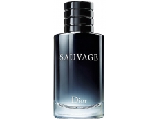 Zoom στο CHRISTIAN DIOR SAUVAGE EDT 200ml SPR