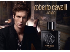 Zoom στο ROBERTO CAVALLI UOMO EDT 100ml SPR