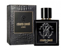 Zoom στο ROBERTO CAVALLI UOMO EDT 100ml SPR