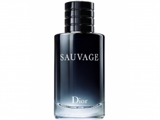 Zoom στο CHRISTIAN DIOR SAUVAGE  EDT 100ml SPR