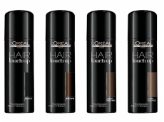 Zoom στο LOREAL HAIR TOUCH UP No black 75ml