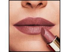 Zoom στο MAX FACTOR COLOUR ELIXIR LIP STICK 894 RAISIN