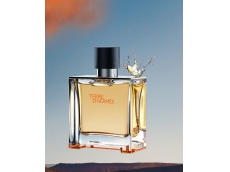 Zoom στο HERMES TERRE D HERMES EDT 100ml SPR