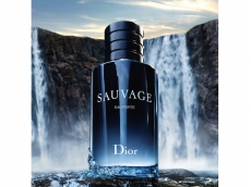 Zoom στο CHRISTIAN DIOR SAUVAGE EAU FORTE PARFUM 100ml SPR (ALCOHOL FREE)