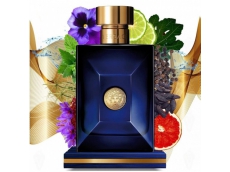 Zoom στο VERSACE DYLAN BLUE pour homme EDT 200ml SPR