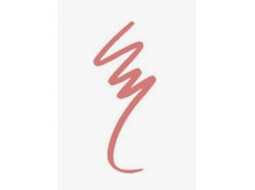 Zoom στο GOLDEN ROSE Dream Lips  Lipliner No.505