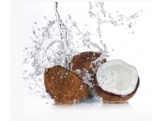 Zoom στο THE LIBRARY OF FRAGRANCE COCONUT 120ml